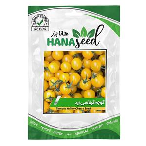 بذر گوجه گیلاسی سیاه 10 عددی
