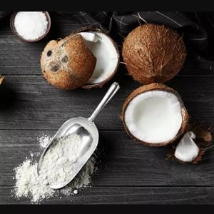 پودر نارگیل نیمه چرب 500 گرمی