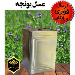 عسل یونجه شفاهیر(27 کیلوگرم)( و فوری)(مستقیم از زنبوردار)