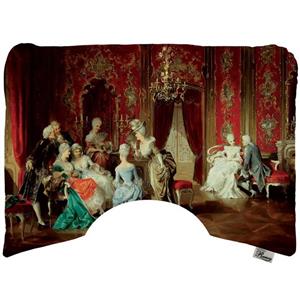 بالش طبی مخمل رنس مدل P22-10726 سایز  40x55