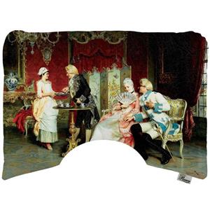 بالش طبی مخمل رنس مدل P22-10724 سایز  40x55