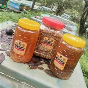 عسل چهل گیاه یک کیلویی باموم و بدون موم شیرین پور در وزن های مختلف