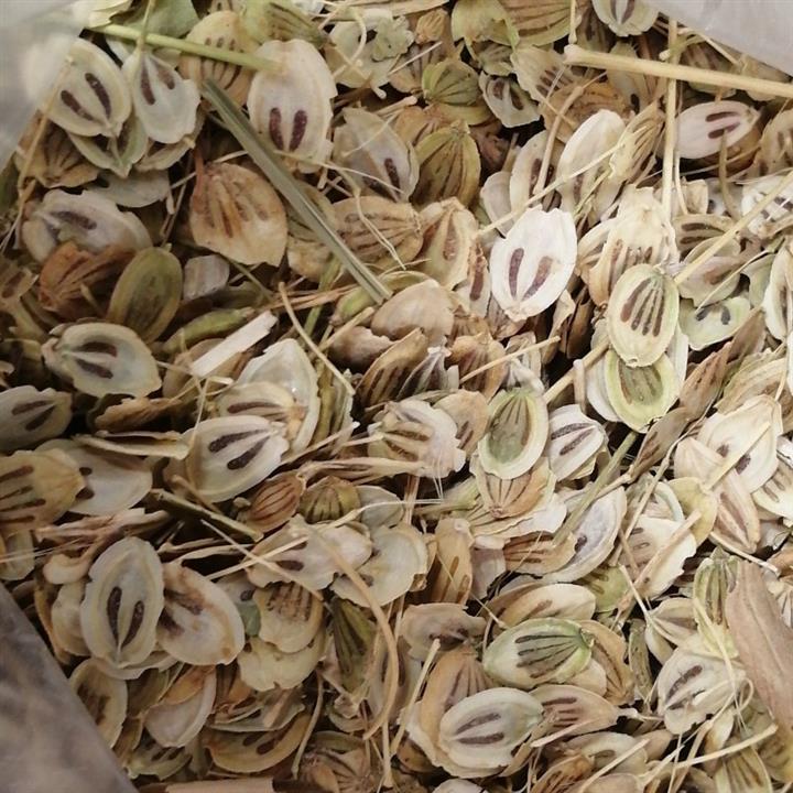 برگ گلپر فله ای