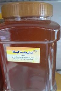 عسل چندگیاه 1کیلویی