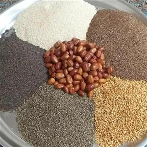 پودر معجون کنجد و سنجد(سویق کنجد و سنجد )
