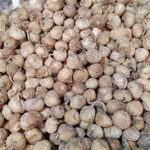 انجیر استهبان شیراز