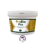 مکمل پروبیوتیک (بهبود دهنده سیستم گوارش اسب) Pro Bio Plus