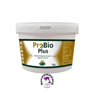 مکمل پروبیوتیک بهبود دهنده سیستم گوارش اسب Pro Bio Plus 