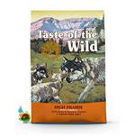 غذای خشک توله سگ تیست آف د وایلد بدون غلات با طعم گاومیش و گوزن Taste of the wild with bison & venison وزن ۲ کیلوگرم