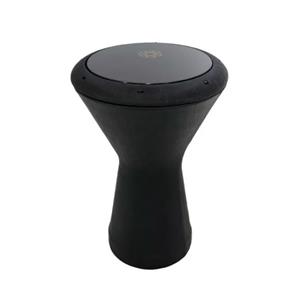 تمپو باس رنگی پژواک طرح 2
