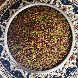 مغز پسته کوهی بنه تازه پارسین[500 گرمی] تضمین کیفیت 