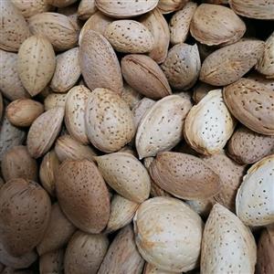 بادام زمینی آستانه اشرفیه نسبتا ریز (900گرمی) امسالی