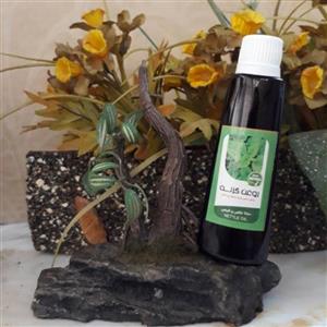 روغن برگ گزنه فدک(60 سی سی) (تقویت مو و پیاز مو، پرپشت کننده مو)