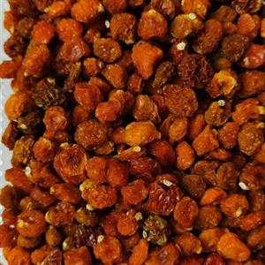 میوه خشک استوایی فیسالیس و پاپایا مستقیم از تولید کننده