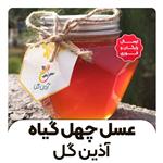 عسل طبیعی چهل گیاه آذین گل(2کیلوگرم )( از زنبوردار نمونه و )