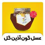 عسل طبیعی گون آذین گل (نیم کیلوگرم)( از زنبوردار نمونه و )