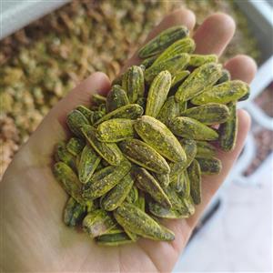 تخمه طعمدار گلپری درجه یک(250گرمی) دو رنگ دور سفید دوریفید طعم دار