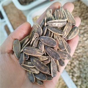 تخمه طعمدار سس رِنچ درجه یک(250گرمی) دو رنگ دور سفید دورسفید رنچ طعم دار