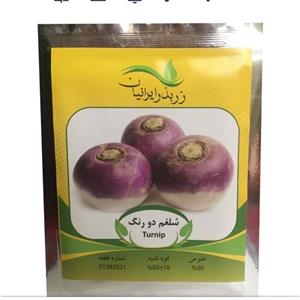 بذر شلغم دو رنگ زر بذر ایرانیان
