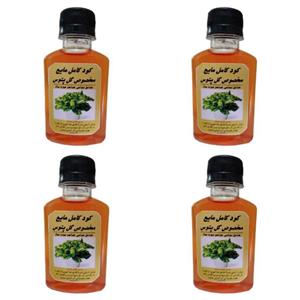 کود مایع و محرک رشد انواع پتوس مدل Danesh PK حجم 120 میلی لیتر بسته 4 عددی