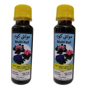 مولتی کود اختصاصی و کامل گیاهان آپارتمانی،  بسته دو عددی
