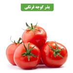 بذر گوجه فرنگی عطار بانو