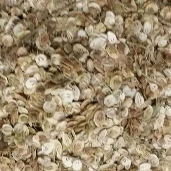 برگ گلپر فله ای