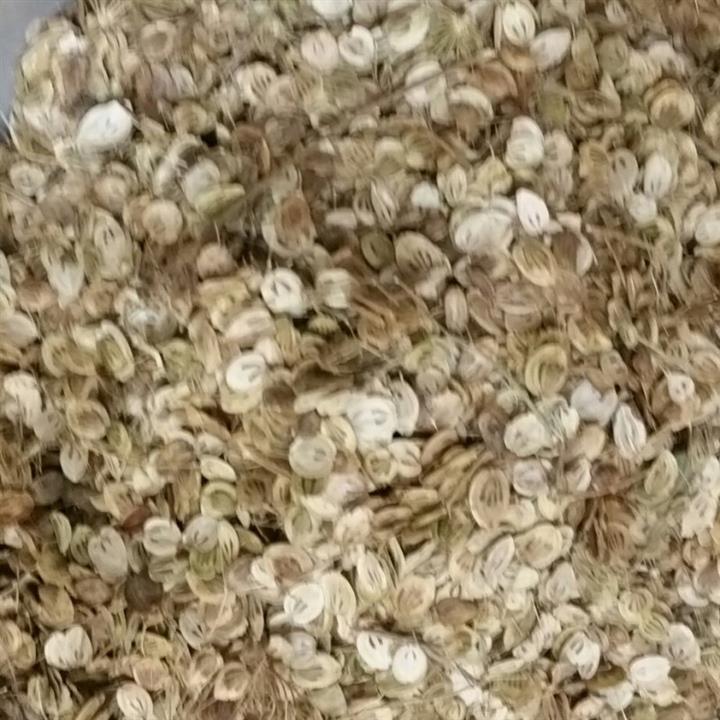 برگ گلپر فله ای