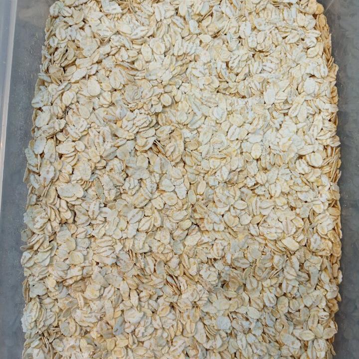 جو پرک اعلا فله ای