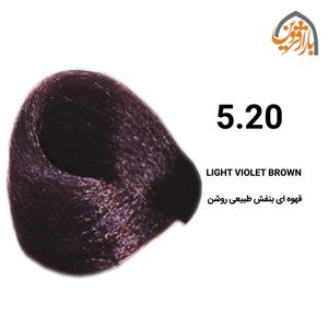   رنگ موی بس سری Violet مدل Light Violet Brown شماره 5.20