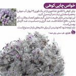 چای کوهی تولکیجه