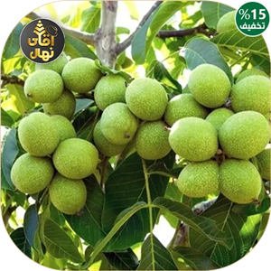 نهال گردو ژنوتیپ تیپ 7
