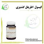 مکمل گیاهی اطریفل گشنیزی آبادیس 