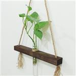 شلف چوبی با آویز کنفی همراه با ظرف شیشه ای با قابلیت رشد گیاه زنده طرح ژینوس