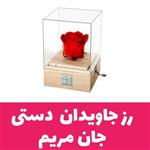 گل رز جاودان موزیکال ملودی جان مریم مدل هندلی دارای جعبه وساک دستی 