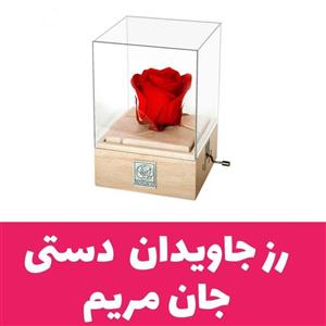  گل رز جاودان موزیکال ملودی جان مریم مدل هندلی دارای جعبه وساک دستی 