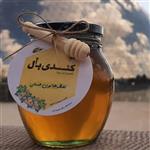 عسل چهل گیاه کندی بال