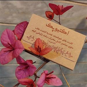 کود کارتی هوشمند گلپک