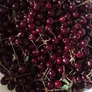 مربا البالو خانگی( 1کیلویی)