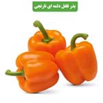 بذرفلفل دلمه ای عطار بانو