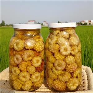 ترشی گل سیر  محلی بدون افزودنی