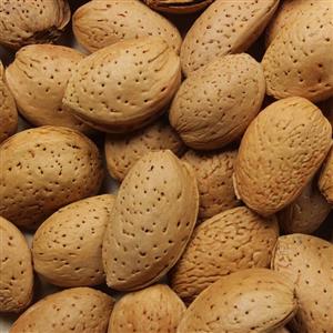 بادام سنگی مراغه خوش طعم و ارگانیک 1000 گرمی