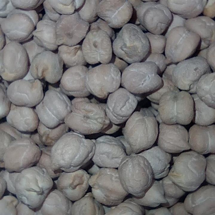نخود فله ای