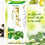 روغن آمله تقدیس