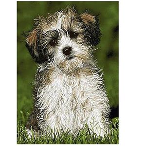 نخ و نقشه تابلوفرش کد 1624