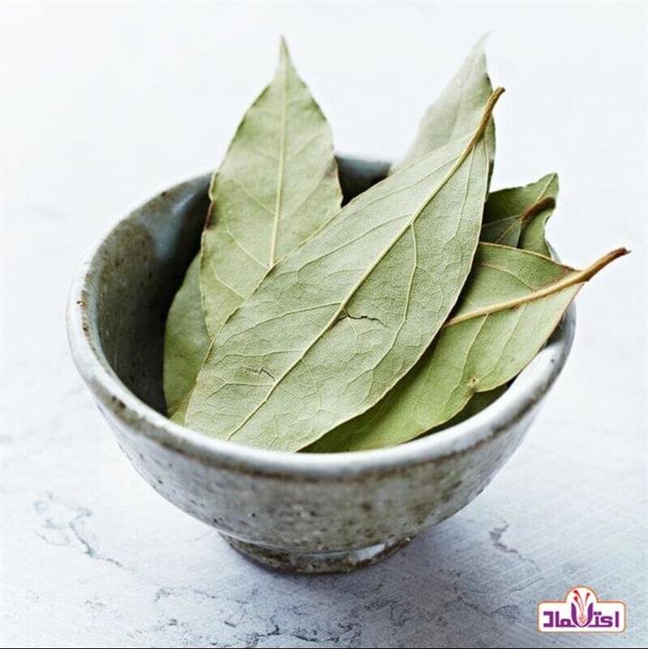 برگ بو فله ای