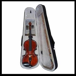 ویولن هافنر آلمانی خارجی