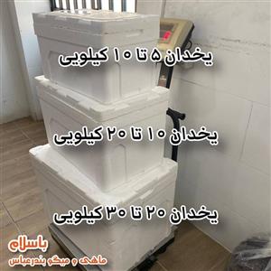 یخدان جهت نگهداری و ارسال ماهی و میگو سایز 5 الی 10 کیلویی