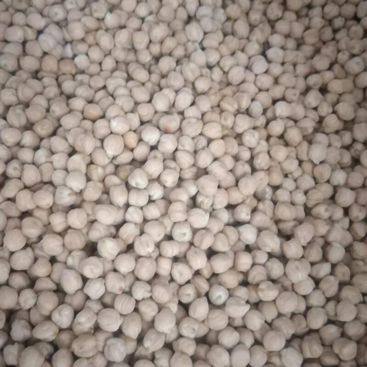 نخود فله ای