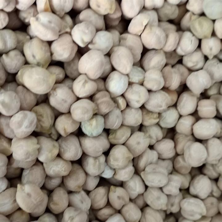 نخود فله ای
